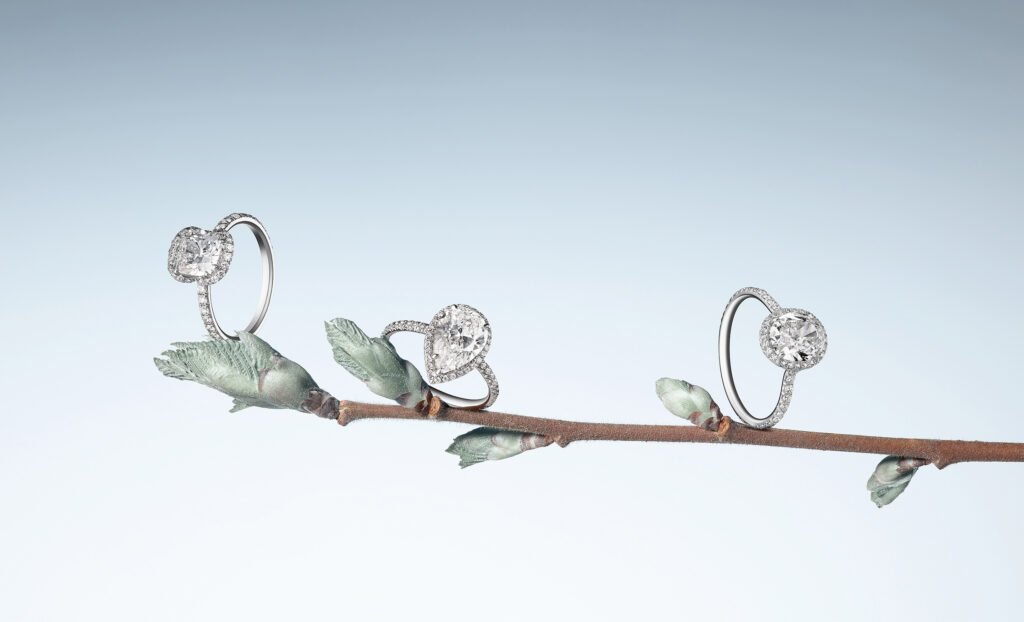 Photographie joaillerie jewellery – triple ring - nature – studio Lausanne Suisse